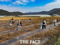  대한항공, 가을 수확철 맞아 농촌 일손돕기…20년 이어온 사회공헌