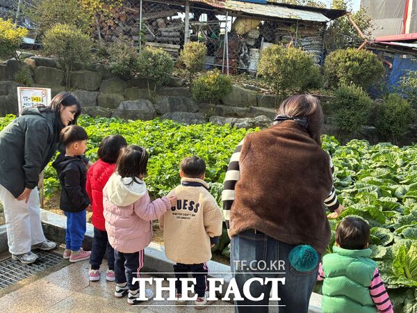 대덕구노인종합복지관은 4일 복지관 지하 1층에 조성된 텃밭에서 노인일자리 나눔봉사단 참여 어르신들과 지역 내 유관기관이 연계해 세대통합 텃밭 수확 체험 프로그램 나눔한줌 2회기를 했다. /대덕구노인종합복지관