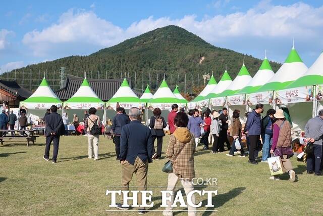 산청군 동의보감촌 잔디광장 약초 판매장터 모습. /산청군