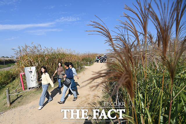 수요일인 5일은 전국이 대체로 맑고, 포근한 늦가을 날씨가 이어지겠다. /장윤석 기자