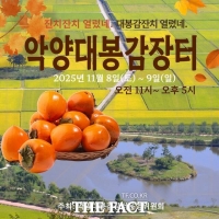  주민들 직접 준비한 하동 '악양대봉감장터'…8~9일 동정호 일원서 개최