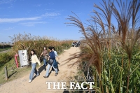  [오늘의 날씨] 포근한 가을 날씨…'출근길 안개 주의'