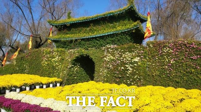 제22회 백제고도부여국화축제가 오는 9일까지 부여군 궁남지일원에서 열리고 있다. /부여군