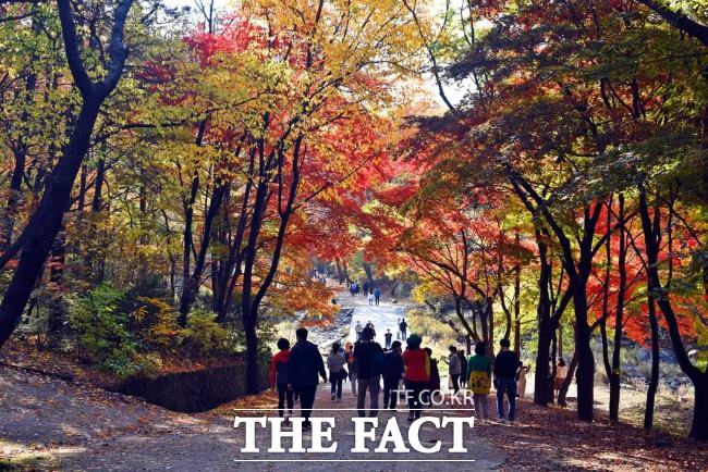 서울대 안양수목원에서 산책하는 시민들 모습.안양시