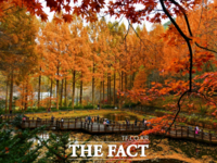  장태산휴양림, 단풍 절정인 한 달간 교통대책 추진