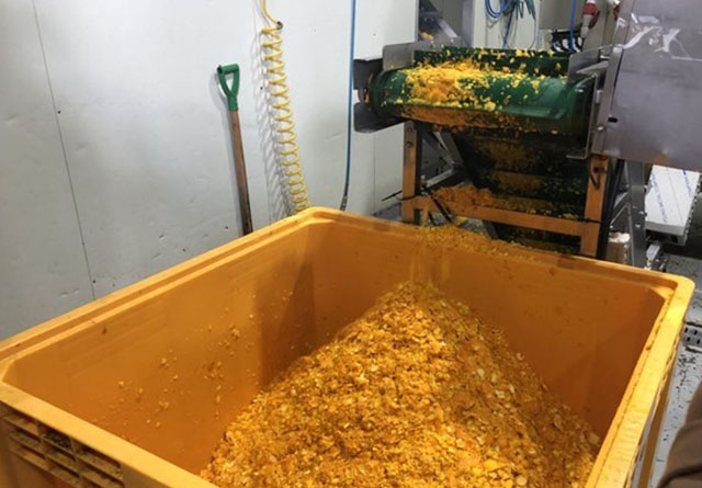 가공 후 남은 감귤 부산물./농진청