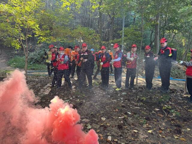 서초구는 산불 위험에 대비하기 위해 산불방지대책본부를 운영한다고 밝혔다. /서초구