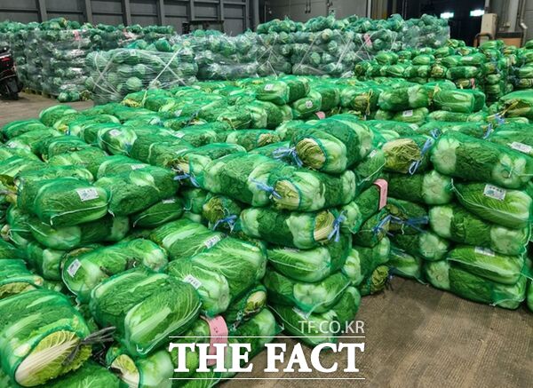 대전 노은농수산물도매시장관리사업소는 김장철을 맞아 6일부터 12월 6일까지 농수산물의 안정적인 유통과 시민 편의 증진을 위해 김장시장을 한시적으로 개설 운영한다. /대전시