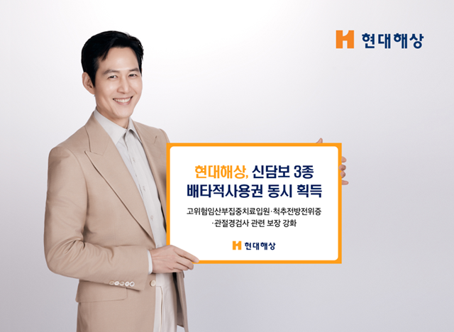 현대해상이 새로운 담보 3종에 대해 배타적사용권 3개월을 획득했다. /현대해상