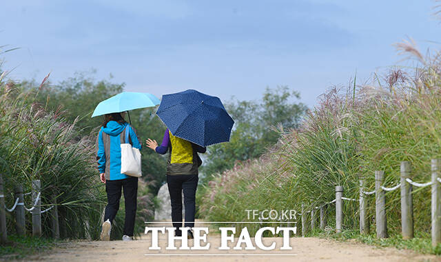 절기상 겨울이 시작된다는 입동이자 금요일인 7일 늦은 오후부터 주말까지 전국 곳곳에 비가 내리겠다. 기온도 내려가 다음 주 초반까지 쌀쌀한 날씨가 이어지다가 대학수학능력시험(수능) 날인 13일을 전후로 기온이 점차 회복되겠다. /서예원 기