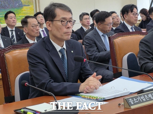 김성태 기업은행장은 재임 기간 중 안정적 실적과 중기대출 성과를 이끌었다는 점에서 긍정적 평가를 받고 있다. 사진은 김 행장. /국회=이선영 기자