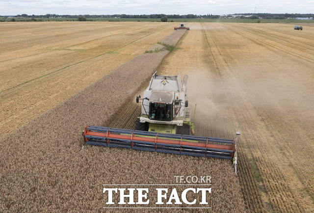 세계 식량가격지수가 2개월 연속 하락했다. /뉴시스