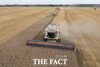  세계식량가격지수 2개월 연속↓…곡물·육류·유제품·설탕 가격 하락