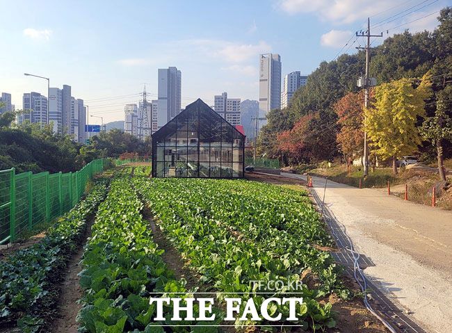 과천시 도시농업센터 전경. /과천시