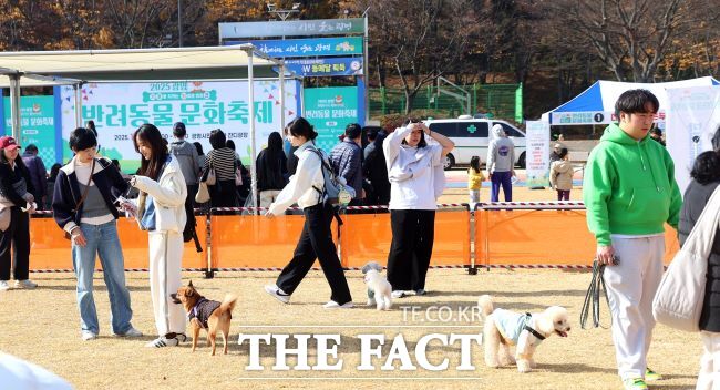 광명시 반려동물 문화축제 모습. /광명시