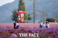  의령 기강 리치 꽃축제, 29만 명 찾아…전년 대비 36% 증가