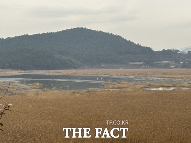 개발 예정지인 여수시 돌산읍 평사리 일대 전경. /여수환경운동연합