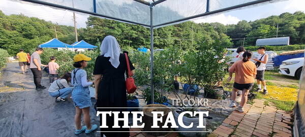지난 6월에 진행된 로컬푸드 농촌 체험 여행 로빈손의 하루 블루베리편 참가자들. /대전 유성구