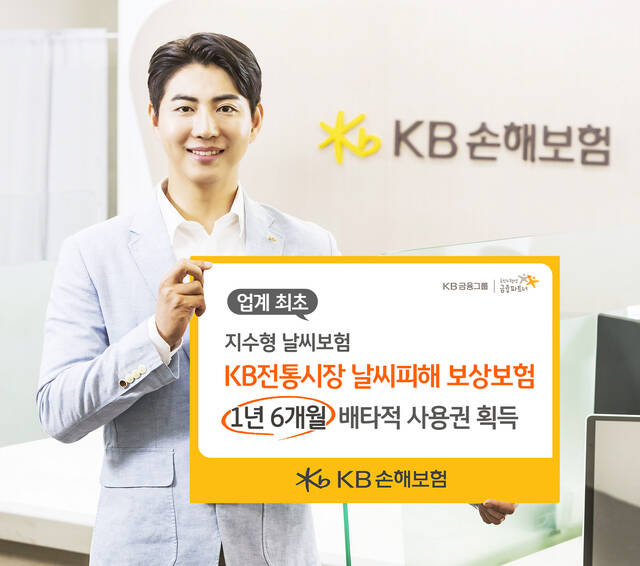 KB손해보험이 날씨피해 보상보험을 출시했다. /KB손해보험