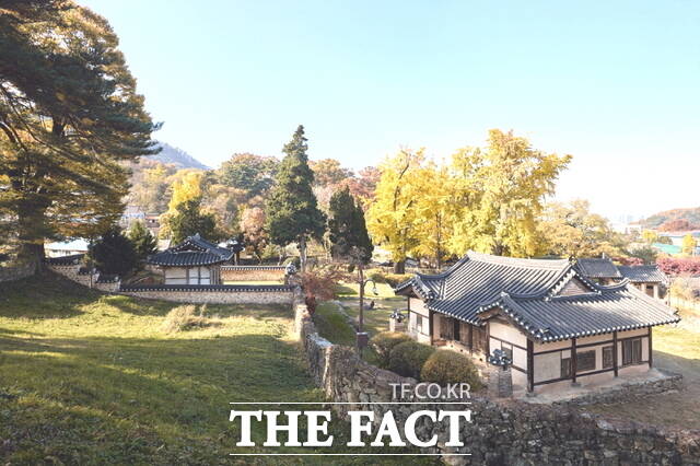 650년 은행나무와 고택이 함께 숨 쉬는 맹씨행단의 가을 풍경. /아산시