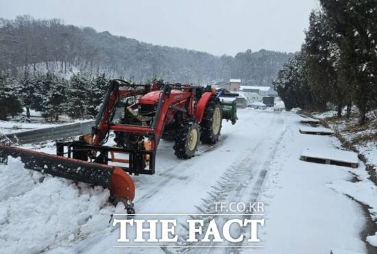 고양시가 지난 겨울 강설로 인해 통행에 어려움이 발생한 도로에서 제설작업을 벌이고 있다. /고양시