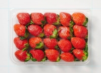  롯데마트, '무라벨 설향 딸기' 출시…폐기물 최소화