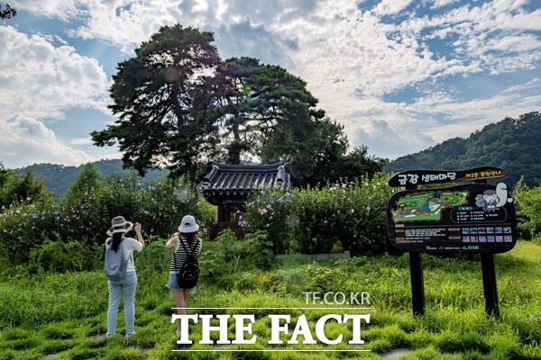 2025년 대덕구 사진공모전 일반 부문 최우수상 수상작 안성진 씨의 함께하는 여행. /대덕구