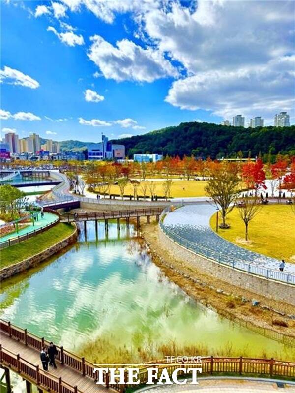 가을 단풍으로 물든 갑천호수공원의 전경. /대전시