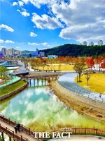 단풍으로 물든 대전, 곳곳이 '주말 나들이' 코스