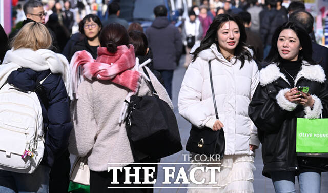 서울 아침 기온이 2도까지 떨어지며 초겨울 날씨를 보인 17일 서울 명동 거리를 찾은 외국인들이 패딩과 모자와 목도리 등으로 중무장한 채 걸음을 옮기고 있다. /이새롬 기자