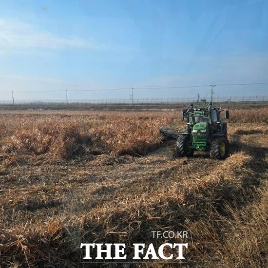 경기도가 축산 농가의 사료비 부담을 줄이기 위해 한강하구 자생 갈대 사료화 사업을 재개한 가운데 최근 경기 김포시 지역에서 갈대 수거 작업이 진행되고 있다. /경기도