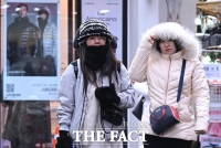 '춥다 추워!' 초겨울 서울 날씨에 중무장한 관광객들 [TF사진관]