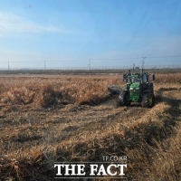  경기도, 축산 농가 위한 '한강하구 자생 갈대 사료화 사업' 재개