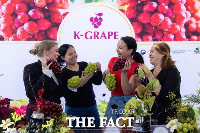 aT가 17일 미국 뉴욕에서 프리미엄 신품종 K-포도 론칭쇼를 개최하고 있다./aT