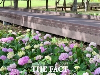  대전시, 무장애 나눔길로 녹색복지 실현…시민 누구나 걷는 초록숲길 조성