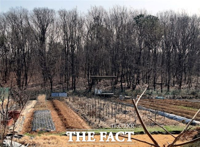 불법 절·성토 행위 적발 대상지 모습. /의왕시