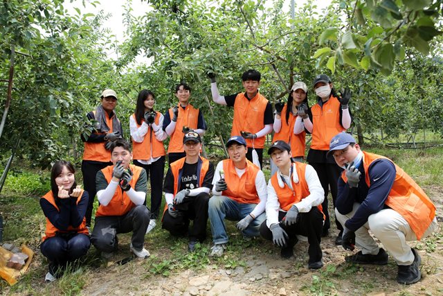 한화는 보건복지부와 한국사회복지협의회가 공동 주관하는 지역사회 공헌 인정제에서 2년 연속 인정기업으로 선정됐다고 19일 밝혔다. 한화 경기 연천 사과농가 봉사활동 모습. /한화