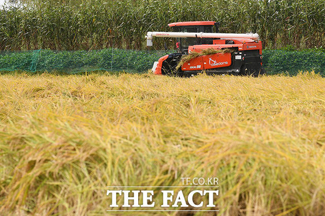 농림축산식품부는 20일부터 2025년 기본형 공익직접지불금 2조3843억원을 자격요건이 검증된 128만5000 농가·농업인(104만5000㏊)에게 지급한다고 19일 밝혔다./더팩트DB