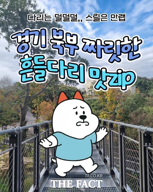 경기관광공사 DMZ 인스타그램 대표캐릭터 누리 콘텐츠. /경기관광공사