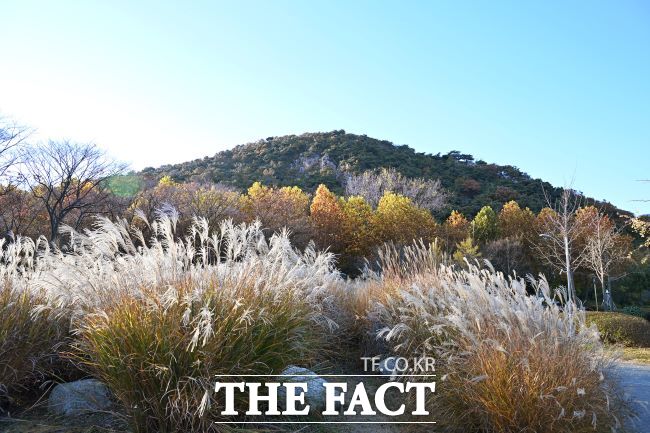 시흥 옥구공원 풍경. /시흥시