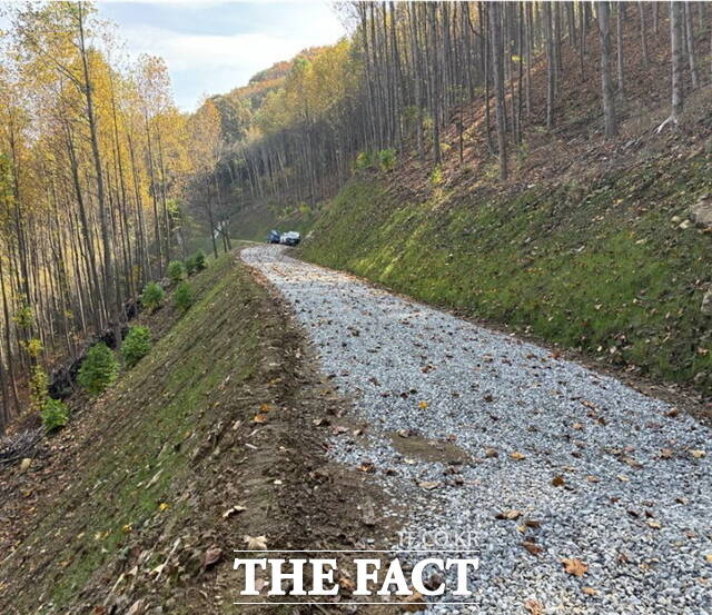 2024년 개설된 신창면 창암리 임도 조성지 모습. /아산시