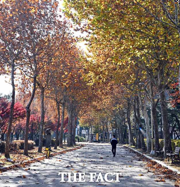 시흥 옥구공원 풍경. /시흥시