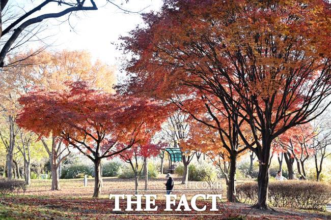 시흥 옥구공원 풍경. /시흥시