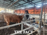  가평군 동물의료지원단, 축산농가 큰 호응속 올해 일정 마무리