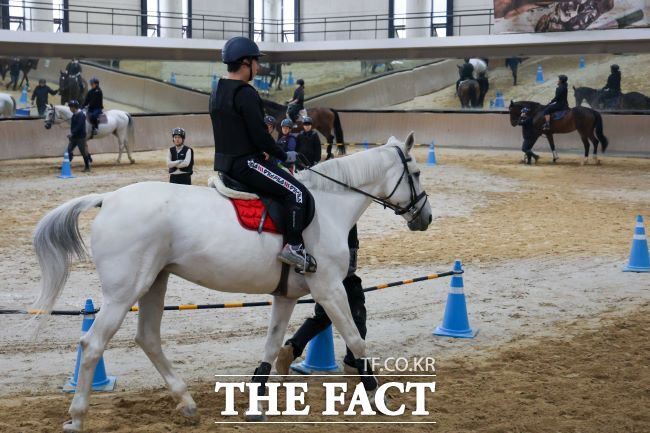 과천시민 무료 승마 교실 진행 모습. /과천시