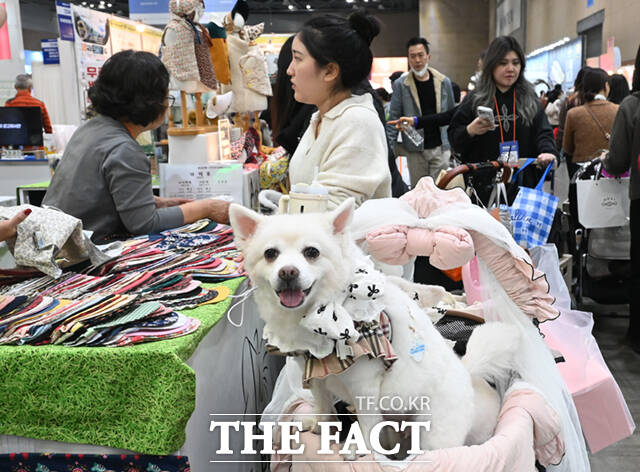 국내 최대 규모의 반려동물산업박람회 '2025 메가주(MEGAZOO) 일산'이 경기 고양시 킨텍스 제1전시장에서 열린 가운데, 박람회를 찾은 한 반려견이 간식봉투를 입에 문 채 부스를 둘러보고 있다. /고양=이새롬 기자