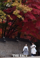  [오늘의 날씨] 중부 내륙 영하권…낮에는 14~18도 늦가을 회복