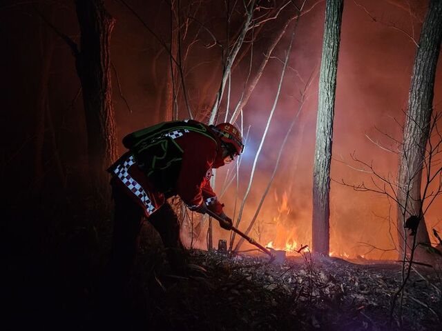 양양 서면 인근 야산에서 산불이 발생한 가운데 산림청 진화대원이 진화에 나서고 있다. /산림청