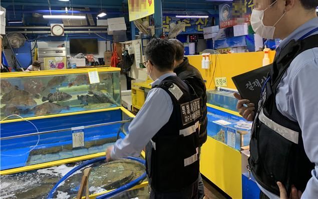 해양수산부가 수산물 원산지 표시 위반 여부를 집중 점검한다. /해양수산부