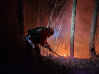  강풍 속 양양 산불, 진화율 55%…주민 600여명 긴급 대피